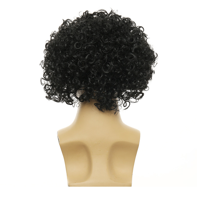 Unisex Große Lockige Afro-Perü – Women'S Accessories In The 70S Bewertung und Preis
